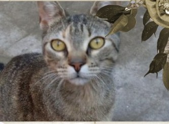 Alejandra uploaded   1 year/s ago