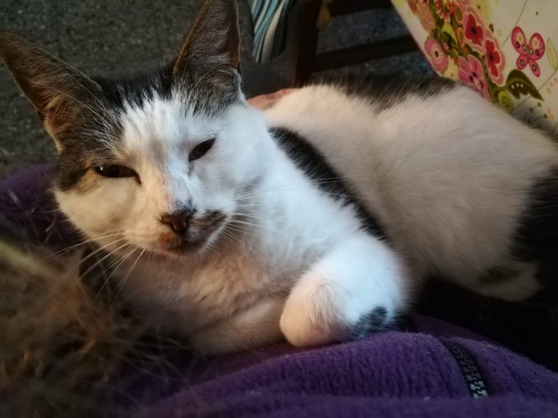 Alejandra uploaded   5 year/s ago