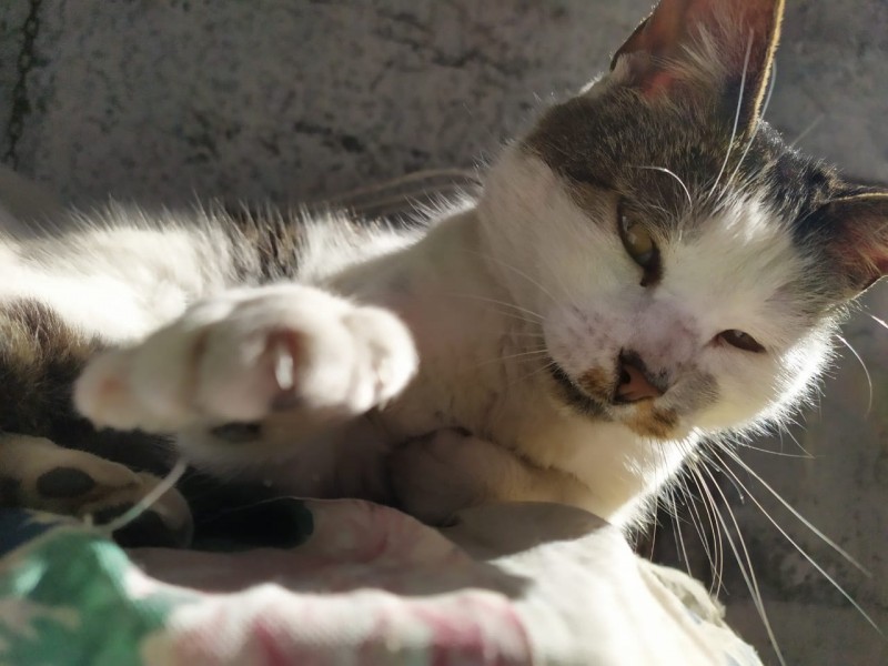 Alejandra uploaded   4 year/s ago