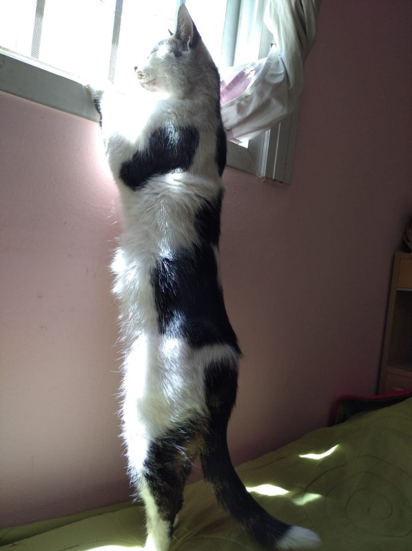 Alejandra uploaded   4 year/s ago