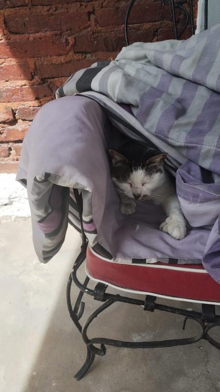 Alejandra uploaded   216  day/s  ago