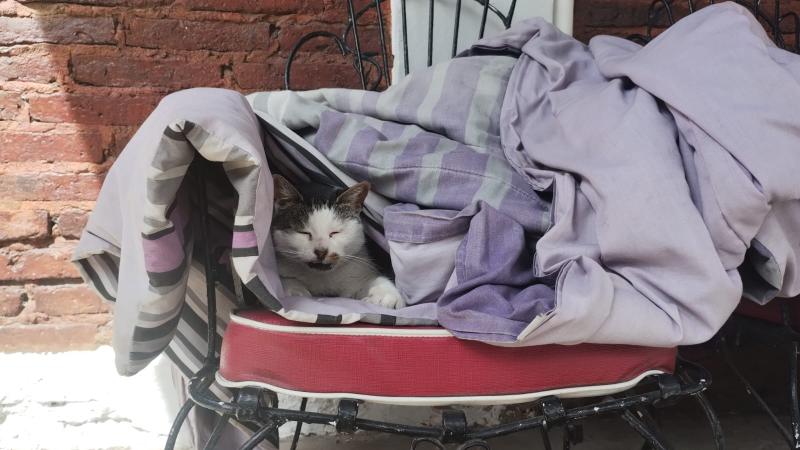 Alejandra uploaded   216  day/s  ago