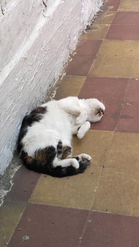 Alejandra uploaded   1  day/s  ago