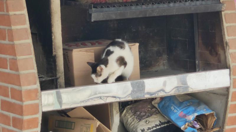 Alejandra uploaded   1  day/s  ago