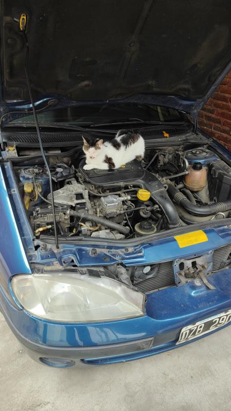 Alejandra uploaded   1  day/s  ago