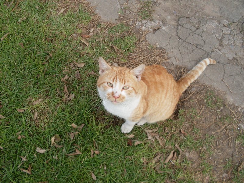 Alejandra uploaded   1  day/s  ago