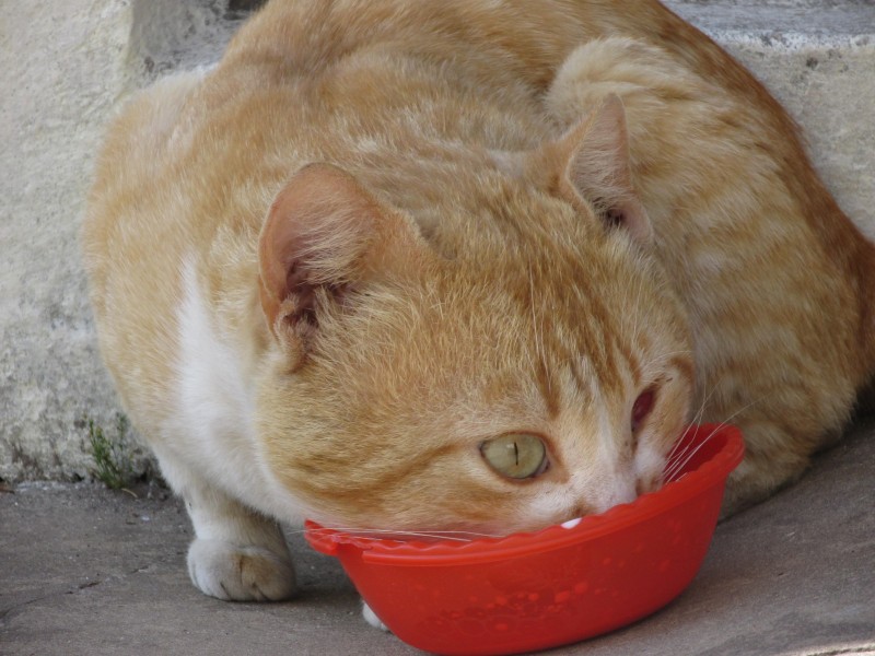 Alejandra uploaded   4 year/s ago