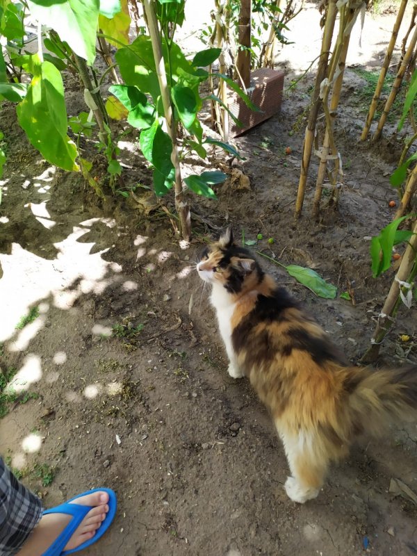 Alejandra uploaded   5 year/s ago