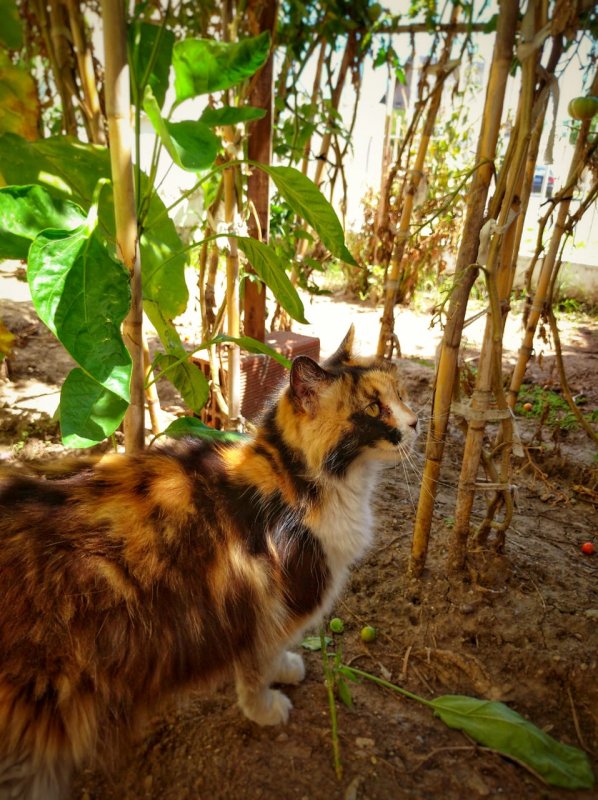 Alejandra uploaded   5 year/s ago