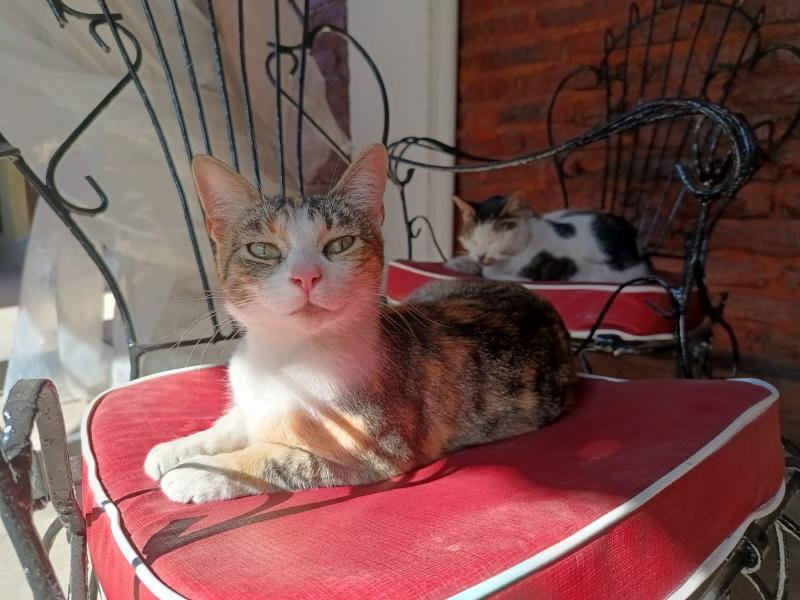 Alejandra uploaded   2 year/s ago