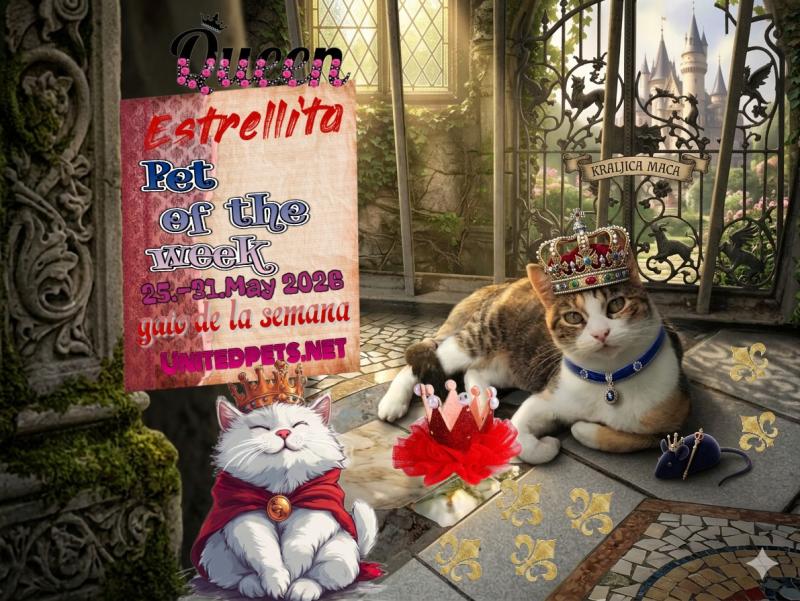 Estrellita of the Alejandra family
