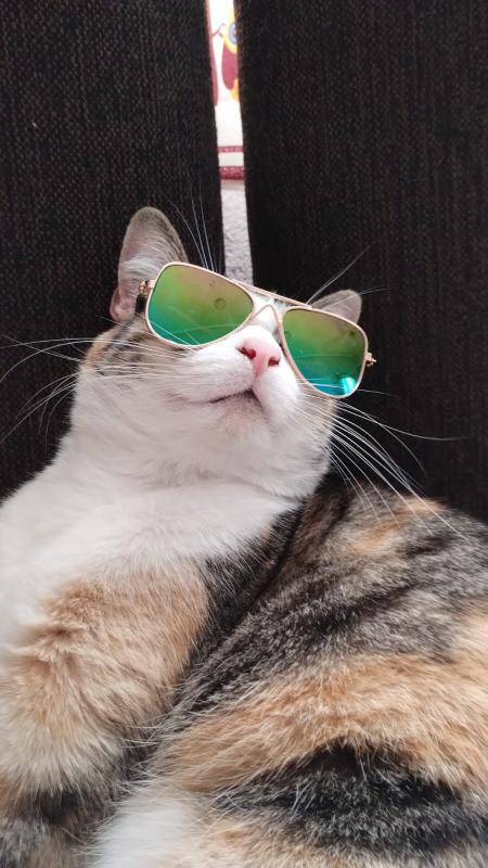 Alejandra uploaded   1 year/s ago