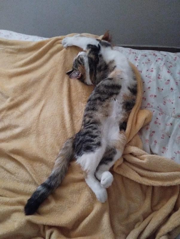 Alejandra uploaded   187  day/s  ago