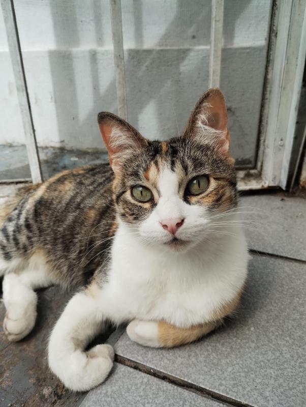 Alejandra uploaded   187  day/s  ago