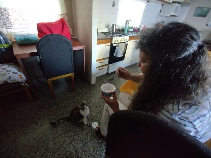 Alejandra uploaded   187  day/s  ago