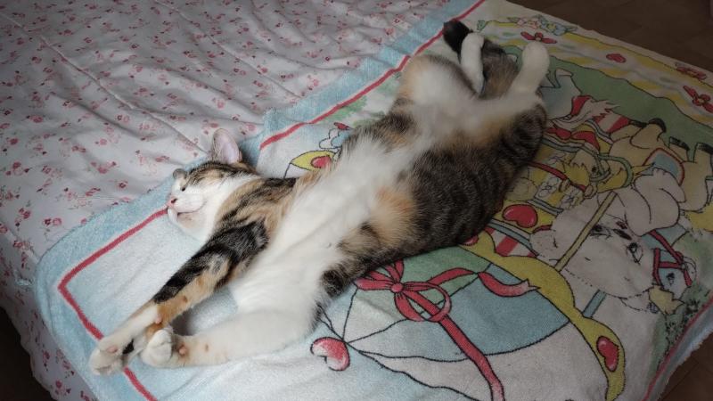 Alejandra uploaded   1 year/s ago