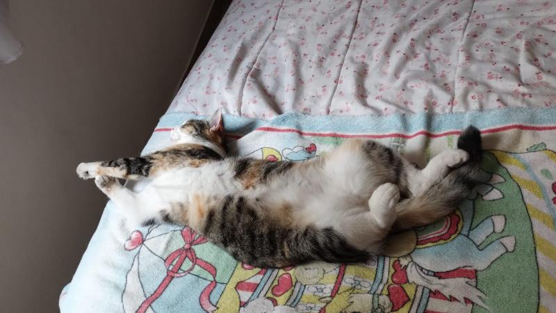 Alejandra uploaded   1 year/s ago