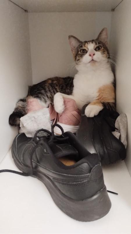 Alejandra uploaded   1 year/s ago