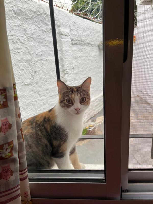 Alejandra uploaded   1 year/s ago