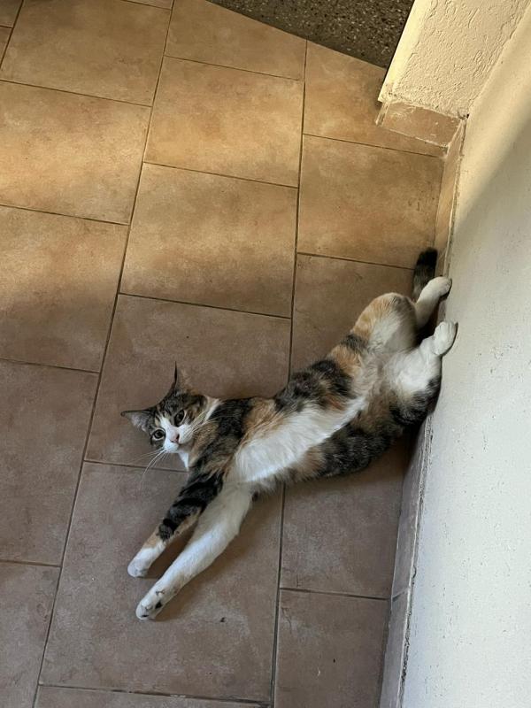 Alejandra uploaded   1 year/s ago