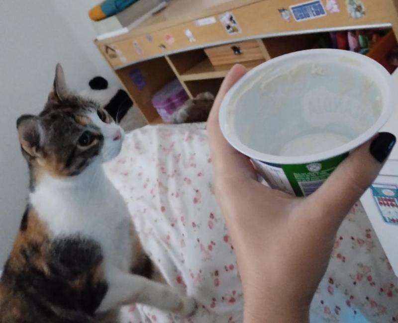 Alejandra uploaded   1 year/s ago