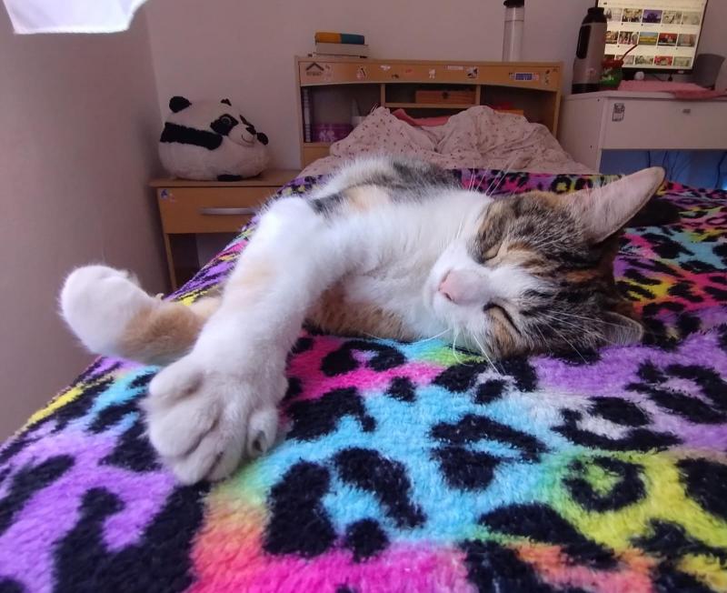 Alejandra uploaded   1 year/s ago