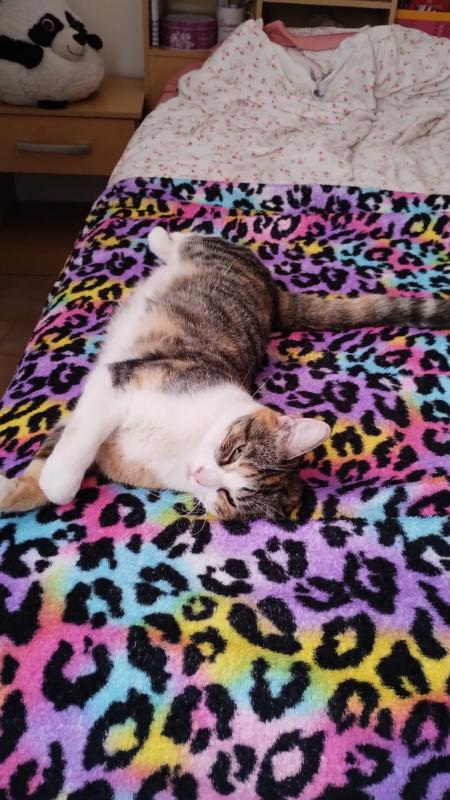 Alejandra uploaded   1 year/s ago