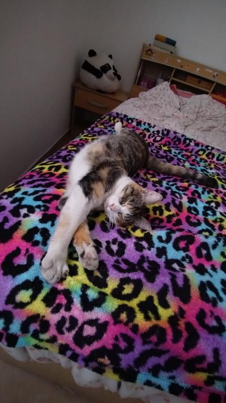 Alejandra uploaded   1 year/s ago