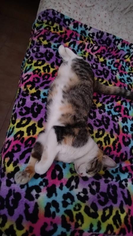 Alejandra uploaded   1 year/s ago