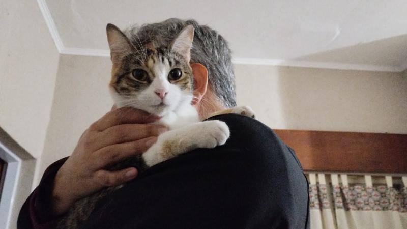 Alejandra uploaded   1 year/s ago