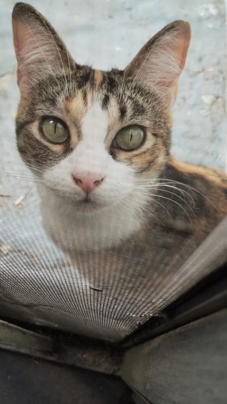 Alejandra uploaded   1 year/s ago