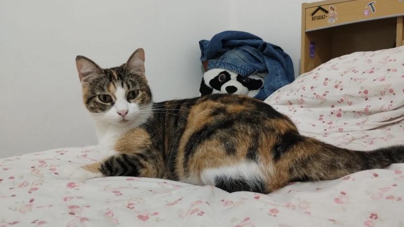 Alejandra uploaded   1 year/s ago