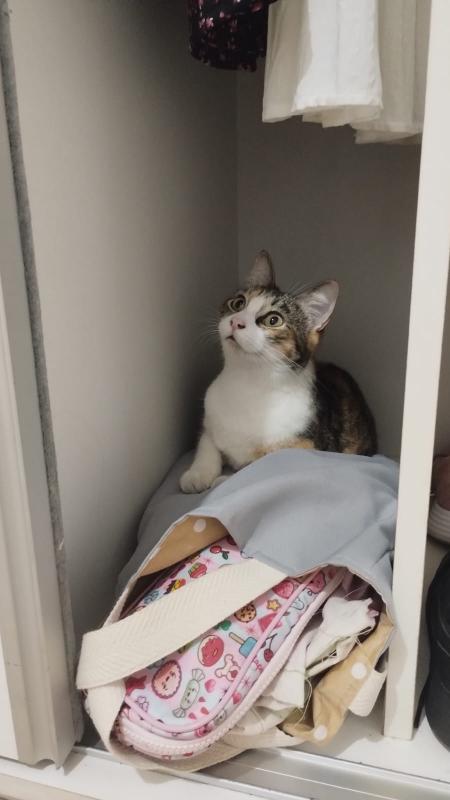 Alejandra uploaded   1 year/s ago