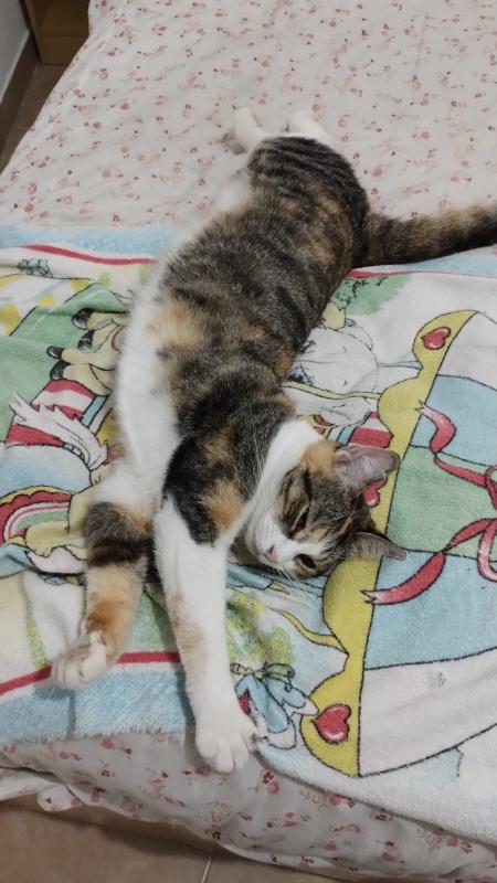 Alejandra uploaded   1 year/s ago