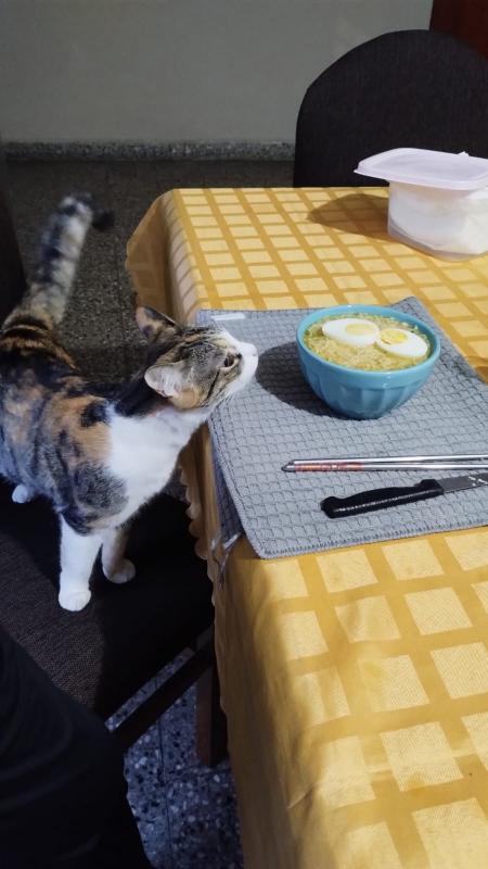 Alejandra uploaded   361  day/s  ago