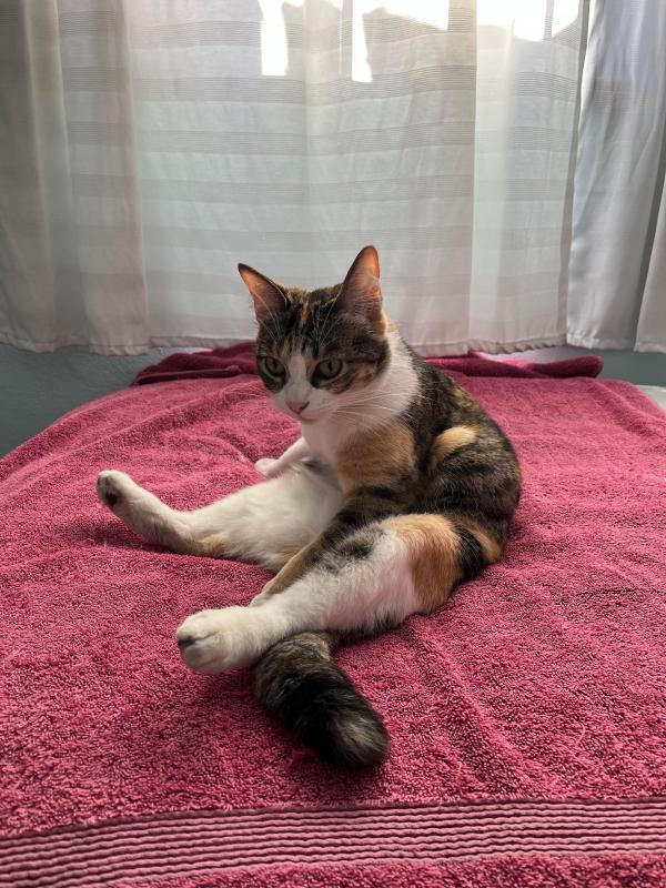 Alejandra uploaded   317  day/s  ago