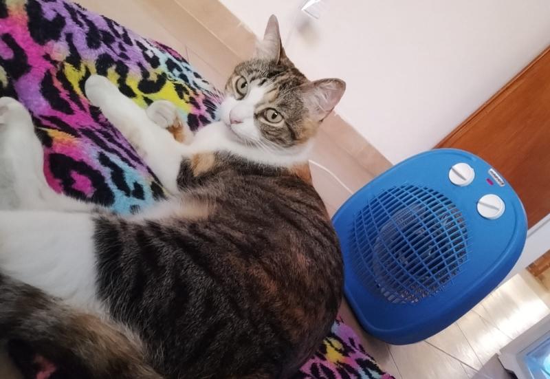 Alejandra uploaded   302  day/s  ago