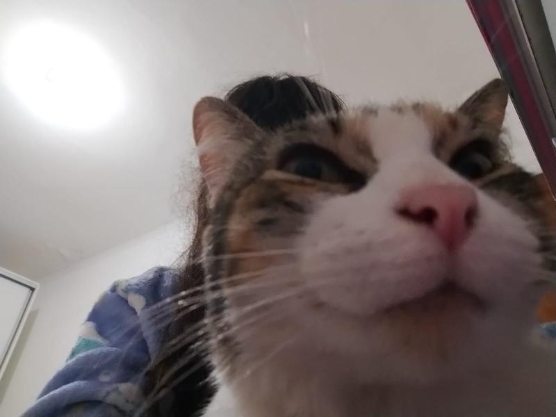 Alejandra uploaded   254  day/s  ago