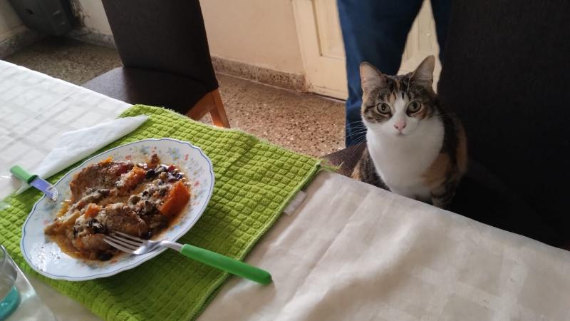 Alejandra uploaded   254  day/s  ago