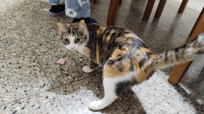 Alejandra uploaded   223  day/s  ago