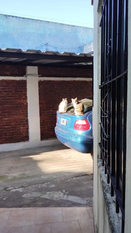 Alejandra uploaded   223  day/s  ago