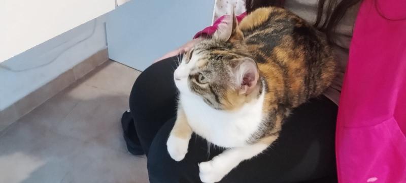 Alejandra uploaded   216  day/s  ago