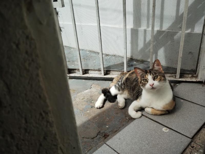 Alejandra uploaded   209  day/s  ago