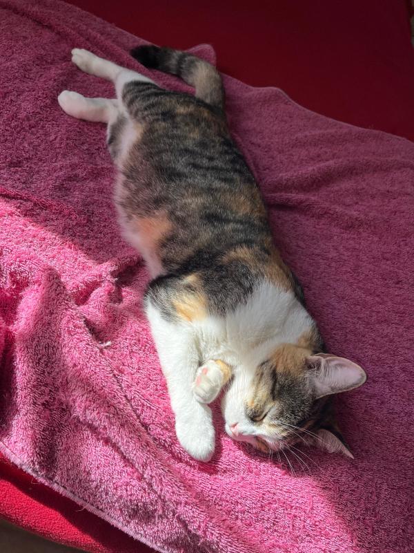 Alejandra uploaded   1  day/s  ago