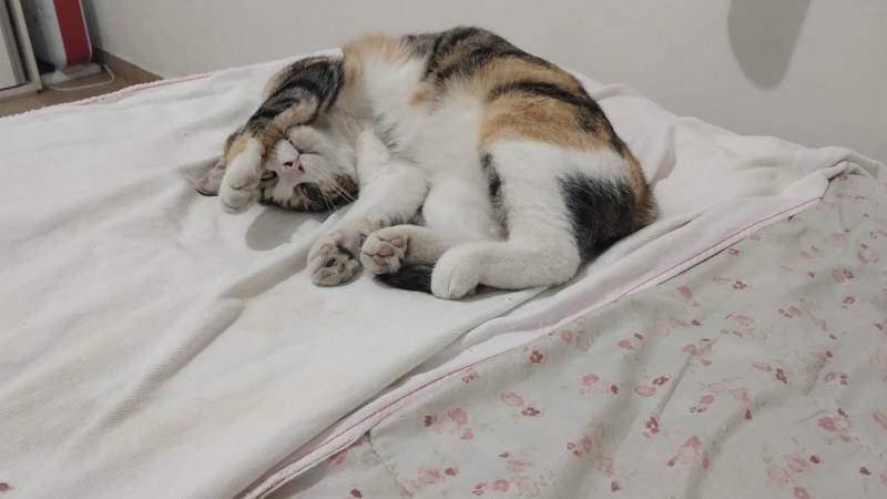 Alejandra uploaded   17 hour/s ago