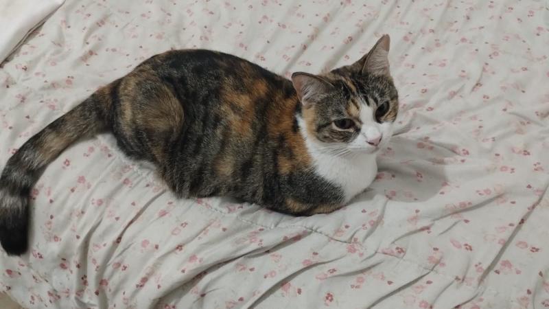 Alejandra uploaded   17 hour/s ago