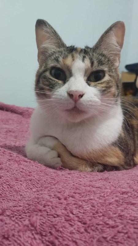 Alejandra uploaded   17 hour/s ago