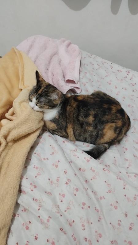 Alejandra uploaded   17 hour/s ago