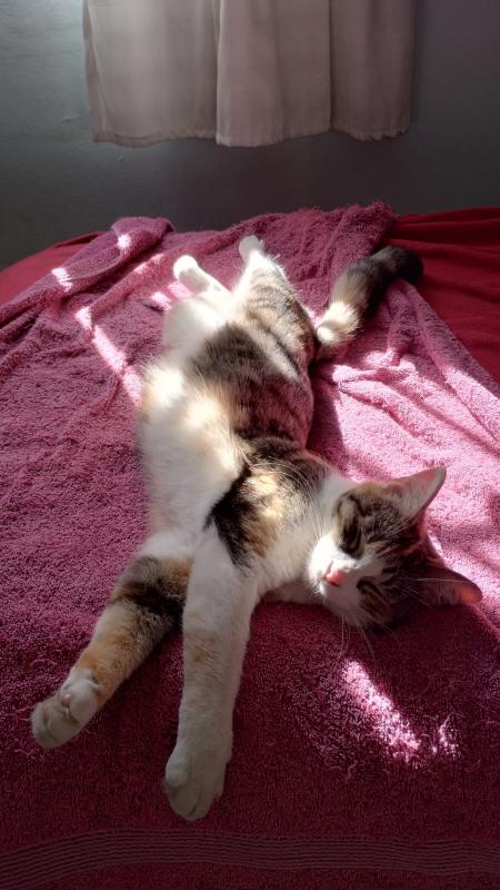 Alejandra uploaded   17 hour/s ago