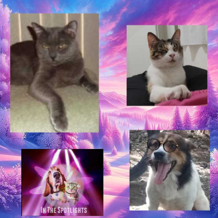 Alejandra uploaded   20 hour/s ago